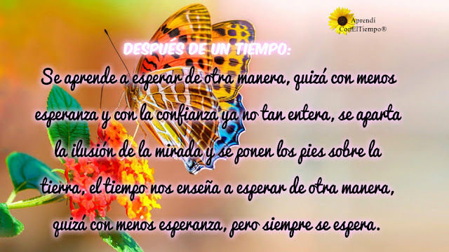 Aprendí Con El Tiempo, Ligia García y García, Con los años, Esperanza, Mensajes Bonitos Para Compartir, 