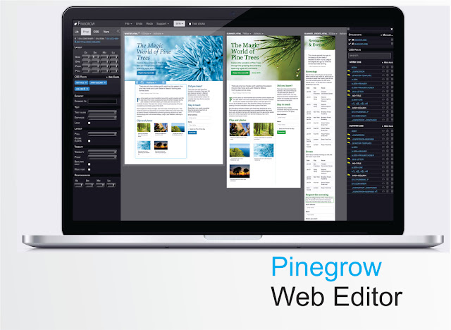 Pinegrow Web Editor 2.9 full crack