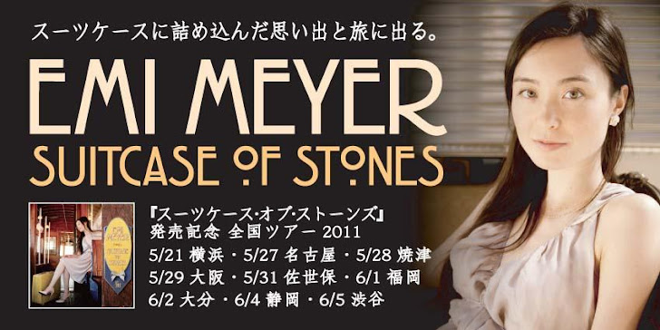 Emi Meyer Suitcase of Stones
