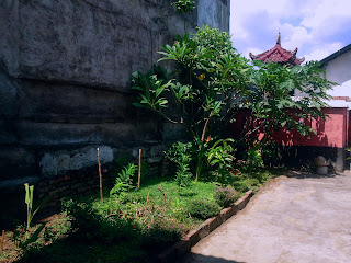 Simple Garden In Front Of My House North Bali Indonesia