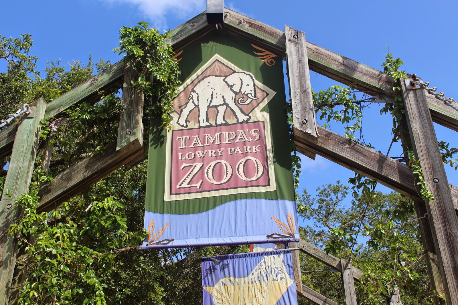 Lowry-Park-Zoo-Tampa