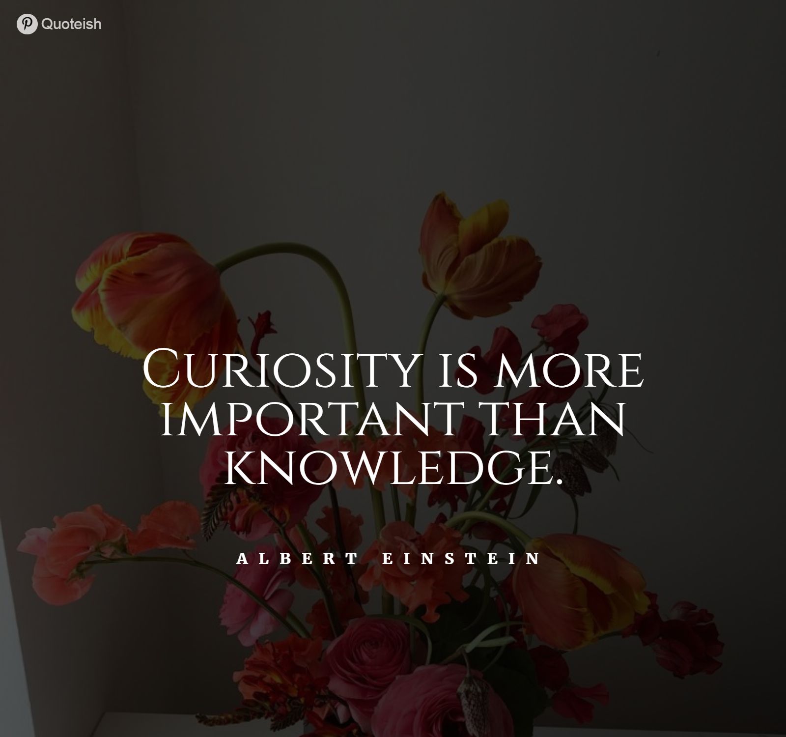 65+ Curiosity Quotes And Sayings - QUOTEISH