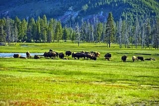 Benefits in Investing in Land