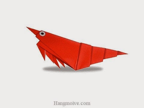 Cách gấp, xếp con tôm bằng giấy origami - Video hướng dẫn xếp hình sinh vật dưới nước - How to fold a Prawn