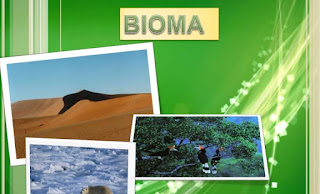 Macam-Macam Bioma Yang Populer Di Dunia Macam-Macam Bioma Yang Populer Di Dunia
