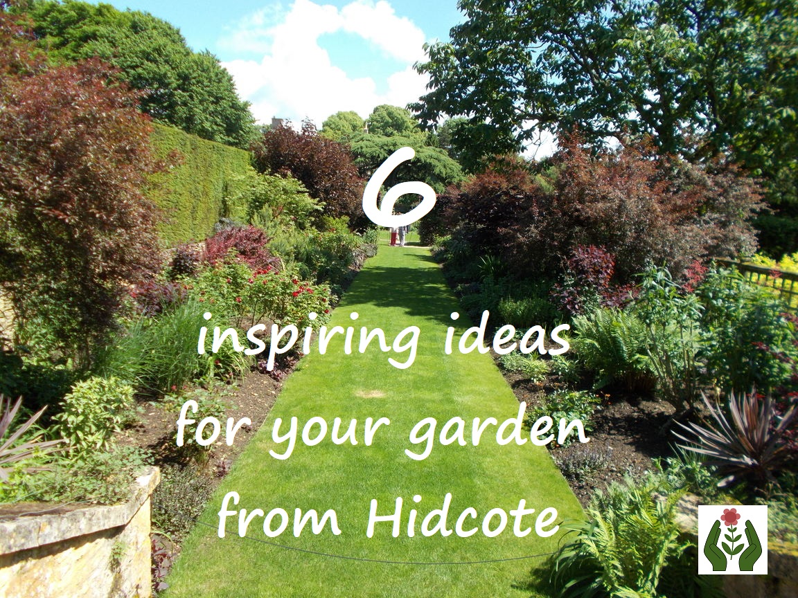 Landscaping Ideas For Small Slopes Finally A Double Rainbow