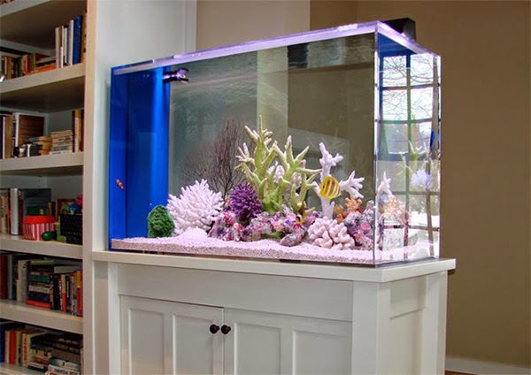 اجمل أحواض اسماك الزينة best aquariums