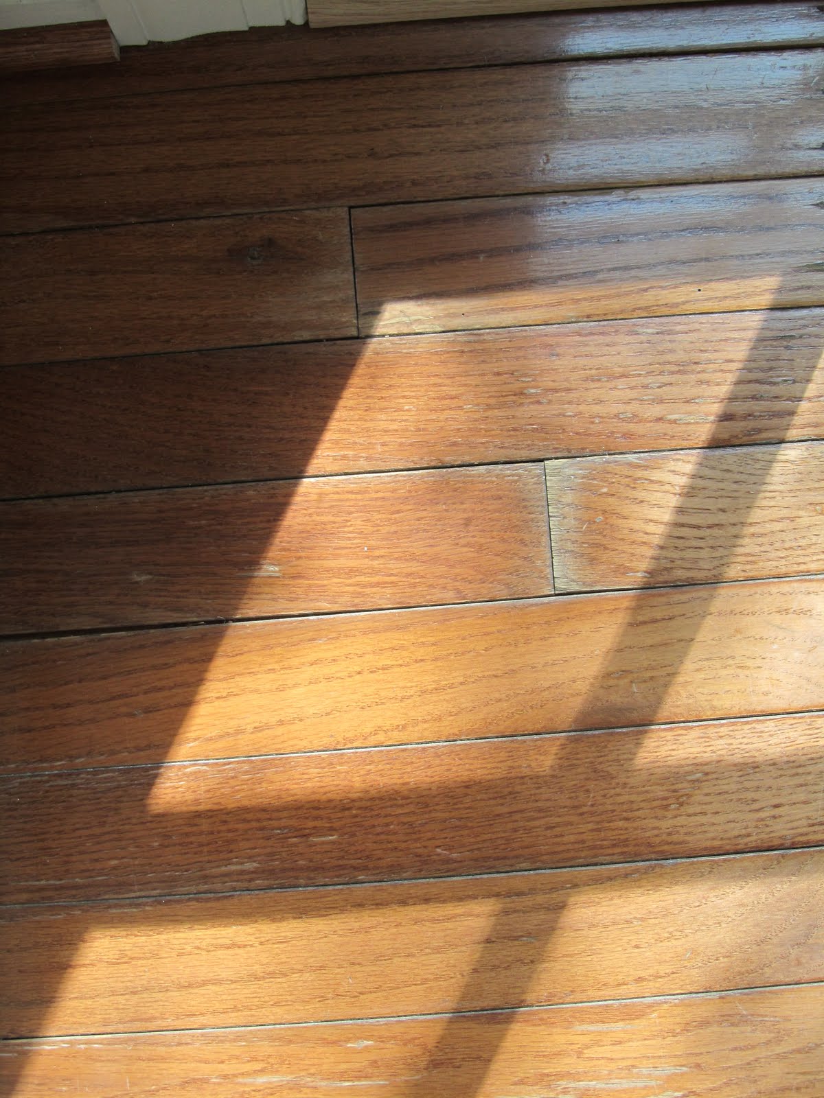 Acanthus and Acorn The Process Of Refinishing Hardwood Floors Before