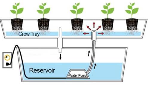 Hydroponics Deep Flow Technique System Dft