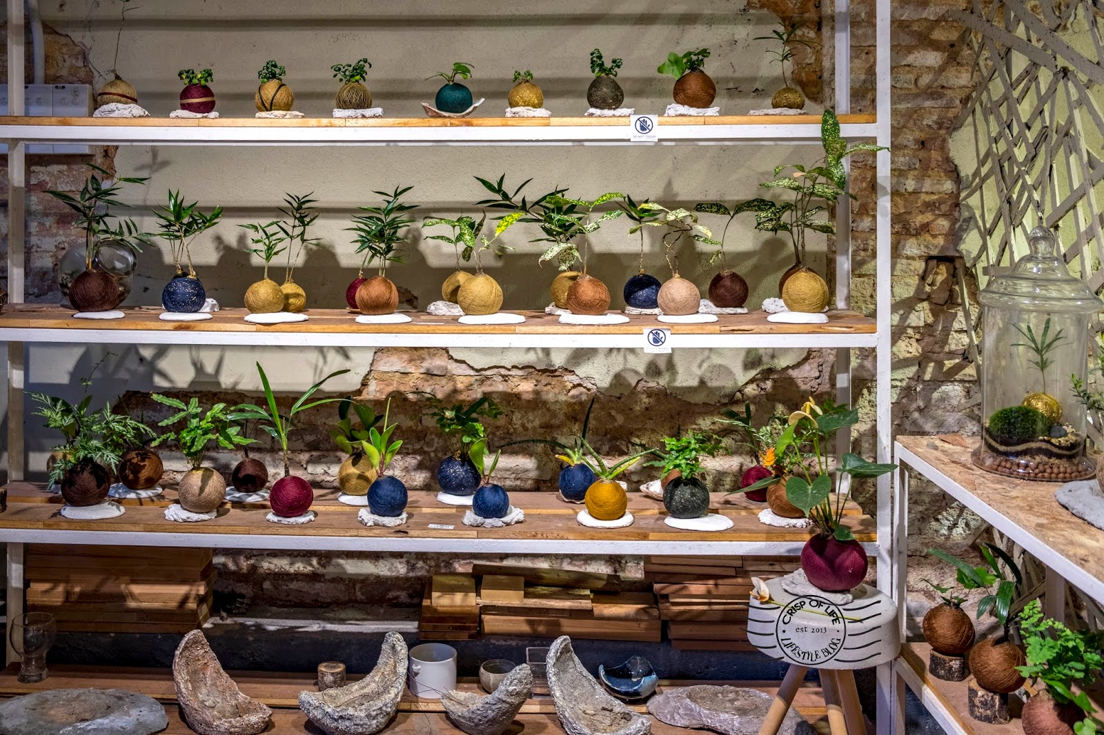 M'atural A contemporary bonsai studio/cafe Lorong Carnavon, Penang