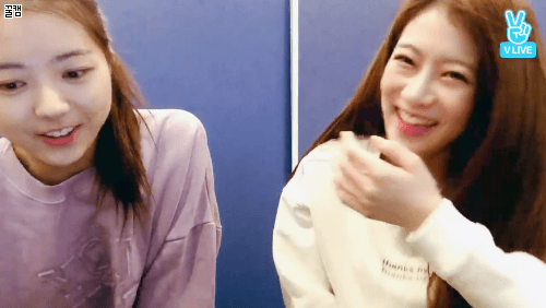 1.gif