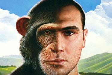 animale