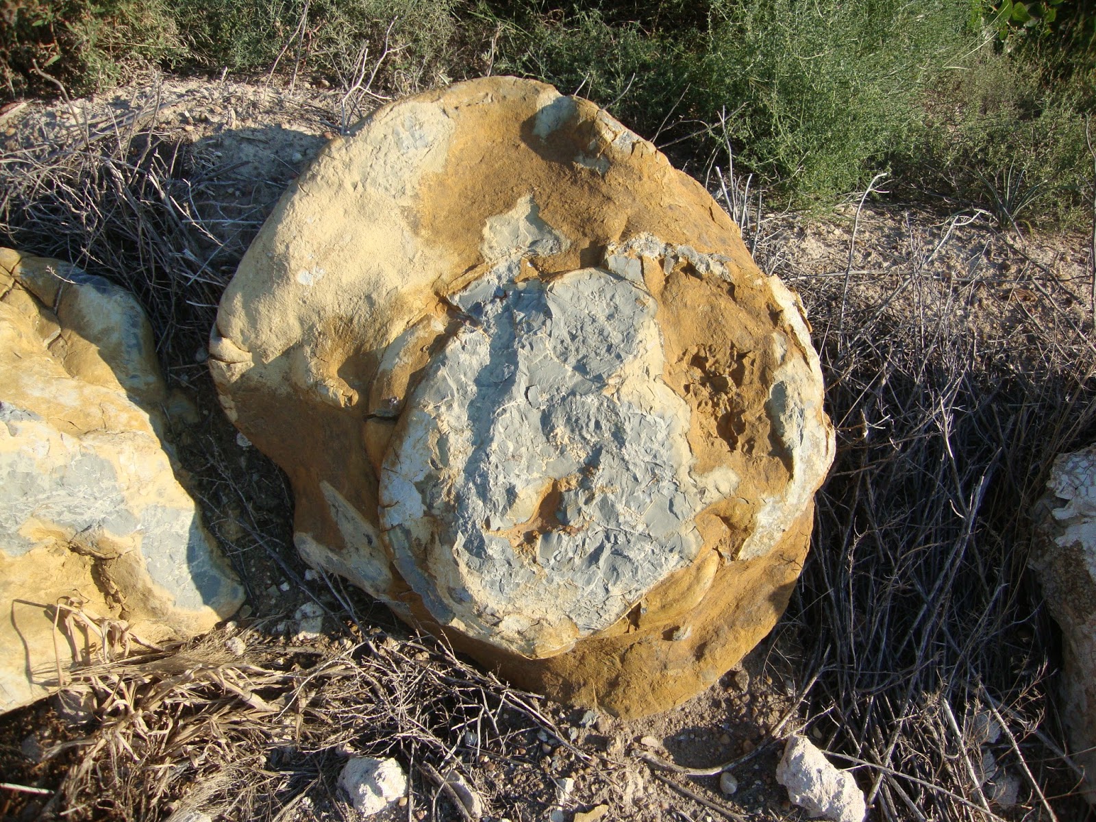 CSMS GEOLOGY POST KANSAS CONCRETIONS (CRETACEOUS)