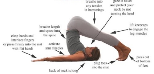 7 Yoga Asanas To Improve Your Sex Life ~ zmark.ca
