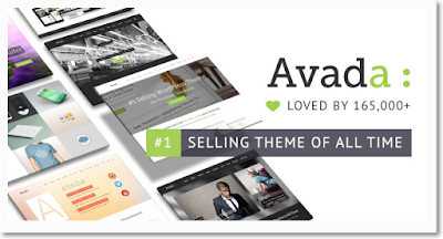 http://themeforest.net/item/avada-responsive-multipurpose-theme/2833226?ref=Eduarea