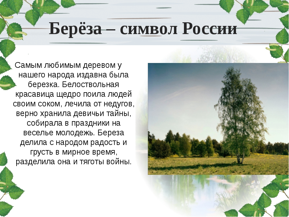 Моя любимая родина проект