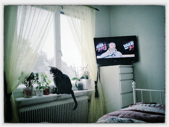 bedroom, window, vakna med nrj, tv, cat in window