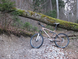Mountainbike Isar Trails Grünwald