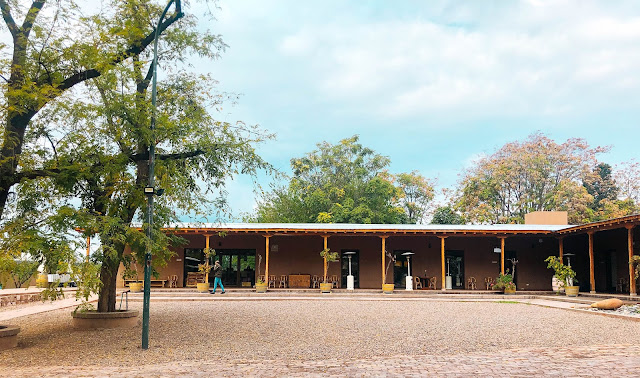 Lagarde Bodega - 4 días en Mendoza, Argentina - Itinerario completo día por día de que hacer. 