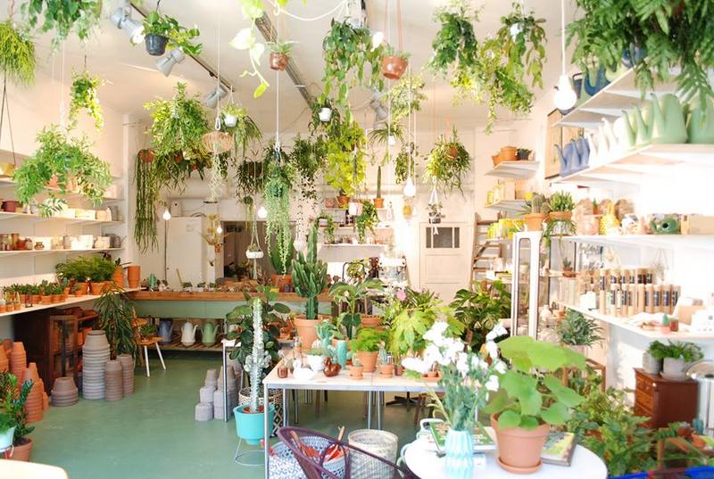 Plantas, café y vida verde con Wildernis en Ámsterdam - EL BLOG DE LA TABLA