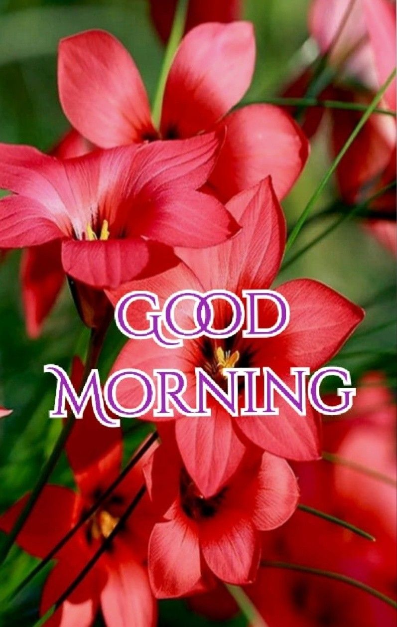 good morning messages for special someone