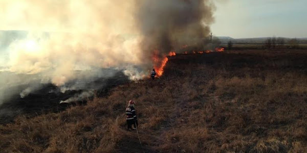 ISU Dolj: Măsuri de arderea a vegetaţiei uscate