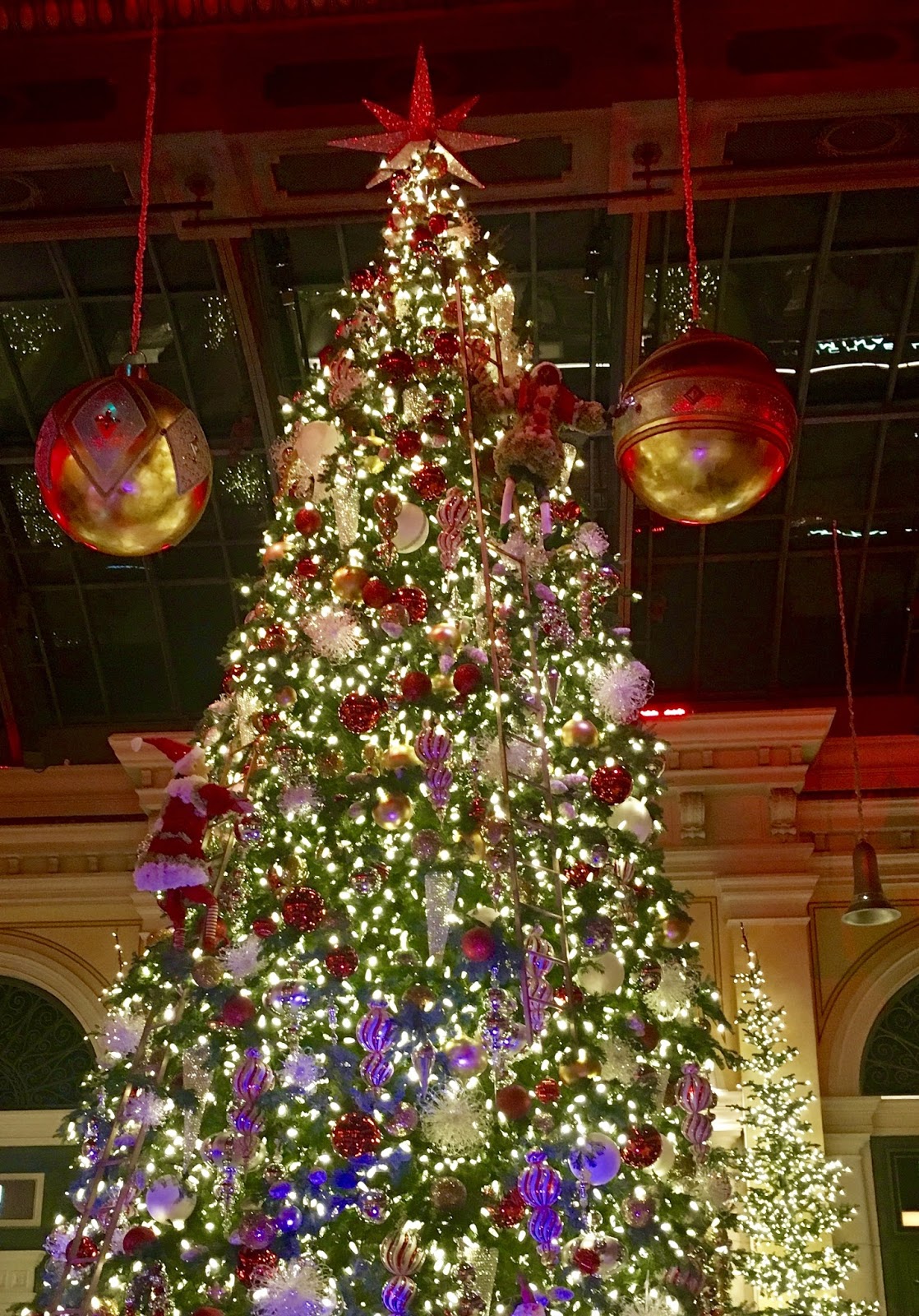 The most wonderful time of the year...
