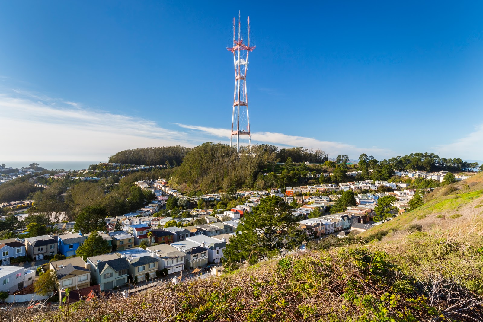 Naturetastic Blog Sutro Tower & Christmas Tree Point (Twin Peaks) San Francisco (Part 5)