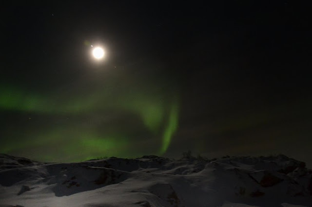 Aurora boreale Tromsø Norvegia