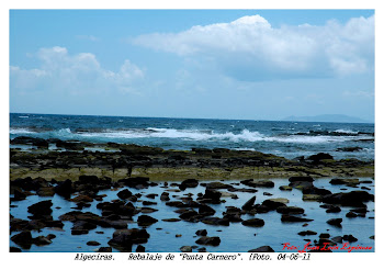 Rebalaje de Punta Carnero