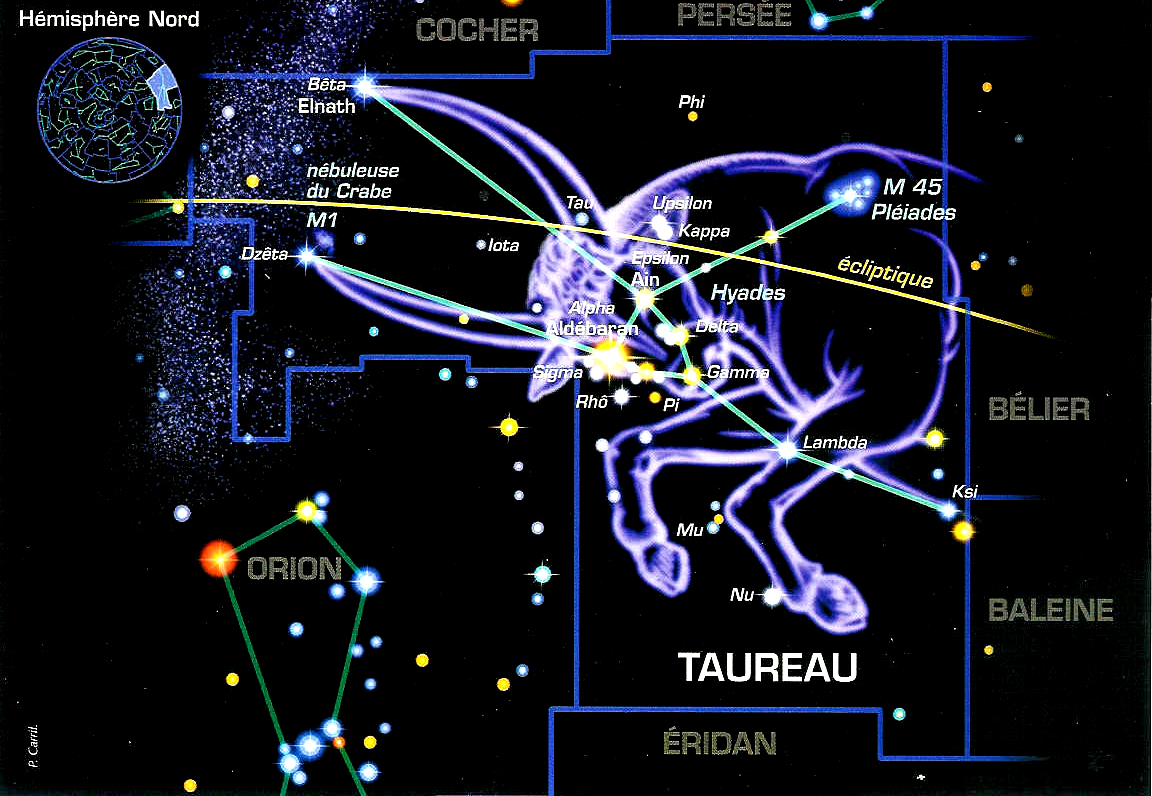 Созвездие телец схема со звездами