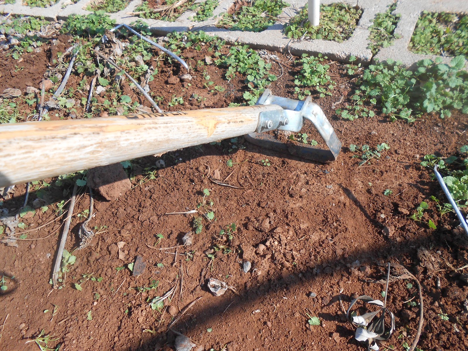 Windy Acres Diary Stirrup Hoe