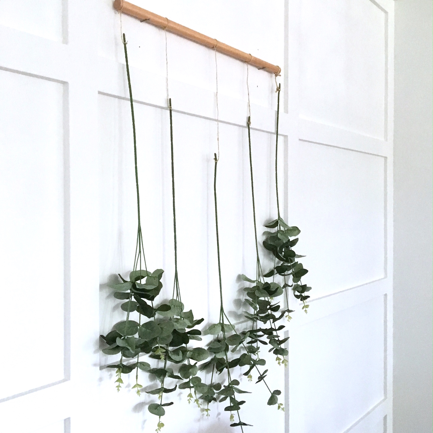 DIY Eucalyptus Wall Hanging Harlow & Thistle