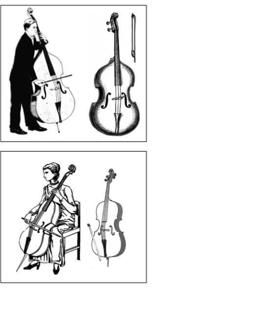 Strings Unit | Exclusive Music