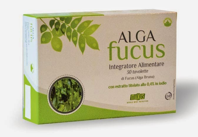 come perdere peso prendendo il tè alla moringa come perdere peso prendendo il tè alla moringa