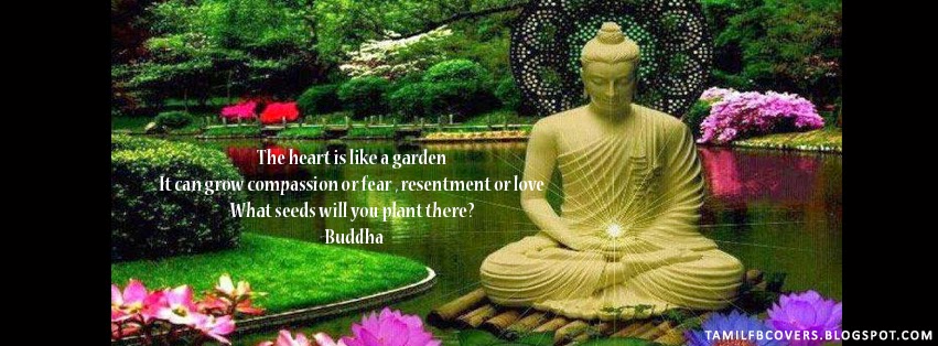 Zen Relaxation Backgrounds: Quotes & Verse