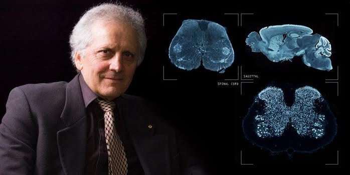 Neuroscienze: Scoperta una regione nascosta del cervello umano.