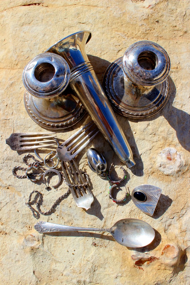 Silver Ringed Junk The Field Lab: Miner
