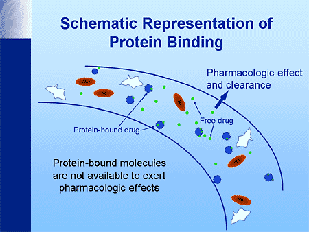 plasma protein binding plasma proteins