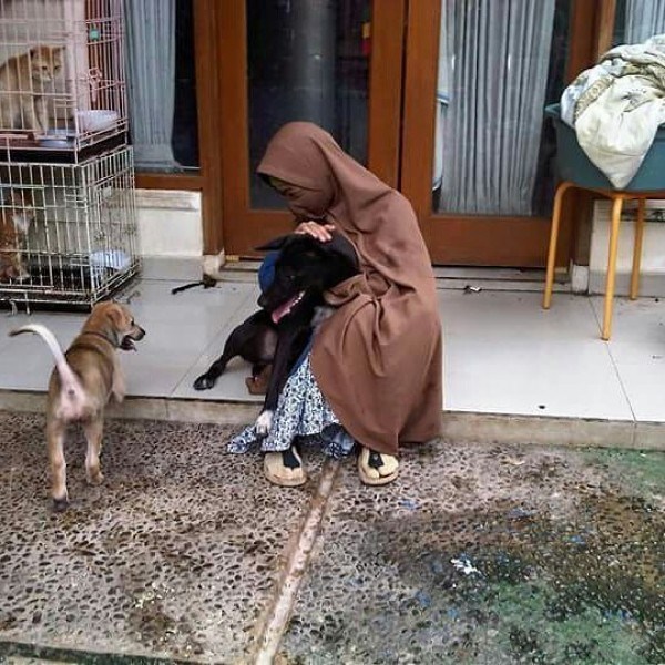 Janga Karena Anggap Anjing Hewan Lucu, Ketahui Dua Gunung Pahala ini Bisa Hilang Janga Karena Anggap Anjing Hewan Lucu, Ketahui Dua Gunung Pahala ini Bisa Hilang