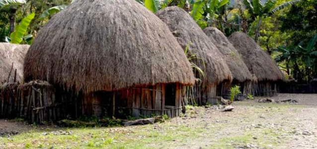 Honai Rumah Adat Papua Titik Air di Payung Hujan