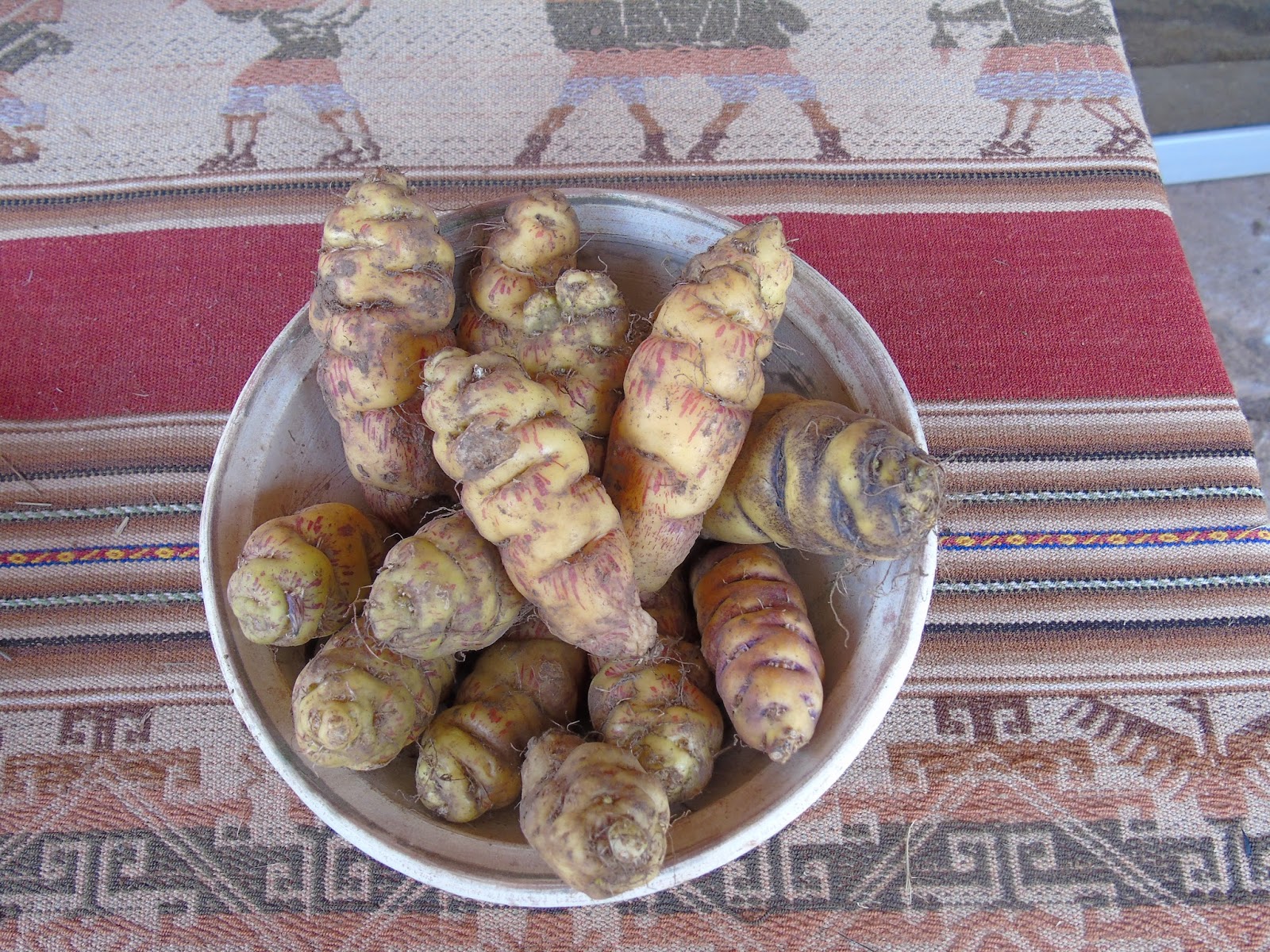 Pérou Ma vie, mes rencontres, mes expériences Cuzco Sortes de pommes de terre