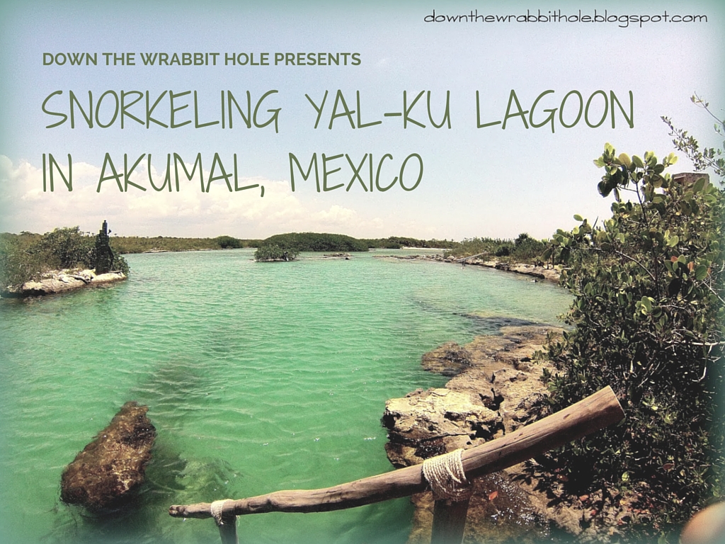 Down the Wrabbit Hole The Travel Bucket List Snorkeling YalKu