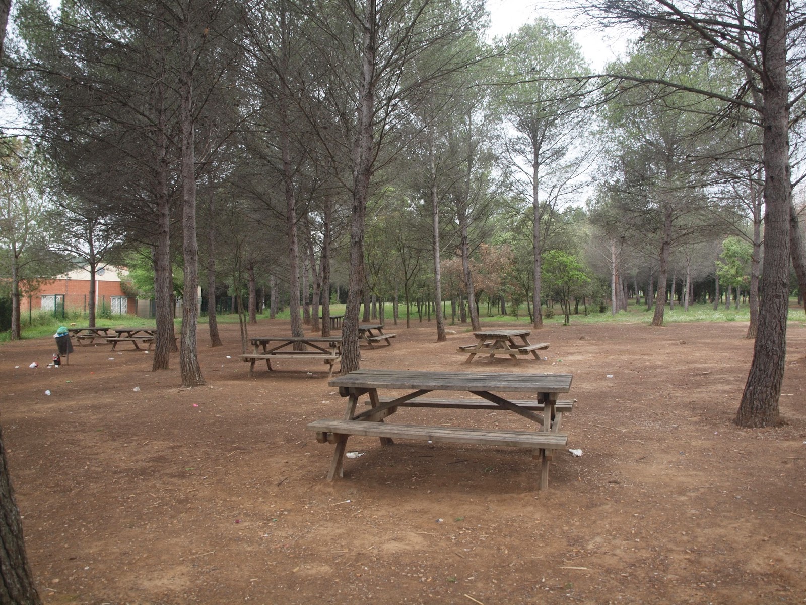 som-de-p-cnic-rea-de-p-cnic-del-parc-forestal-can-cases-martorell