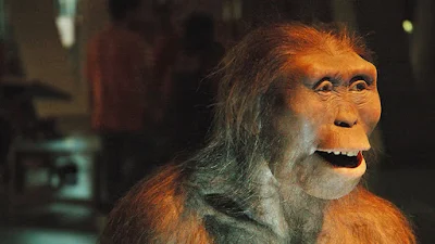 Revelan la irónica manera en la que murió Lucy, 'la madre de la humanidad'
