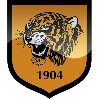 Logo Hull City