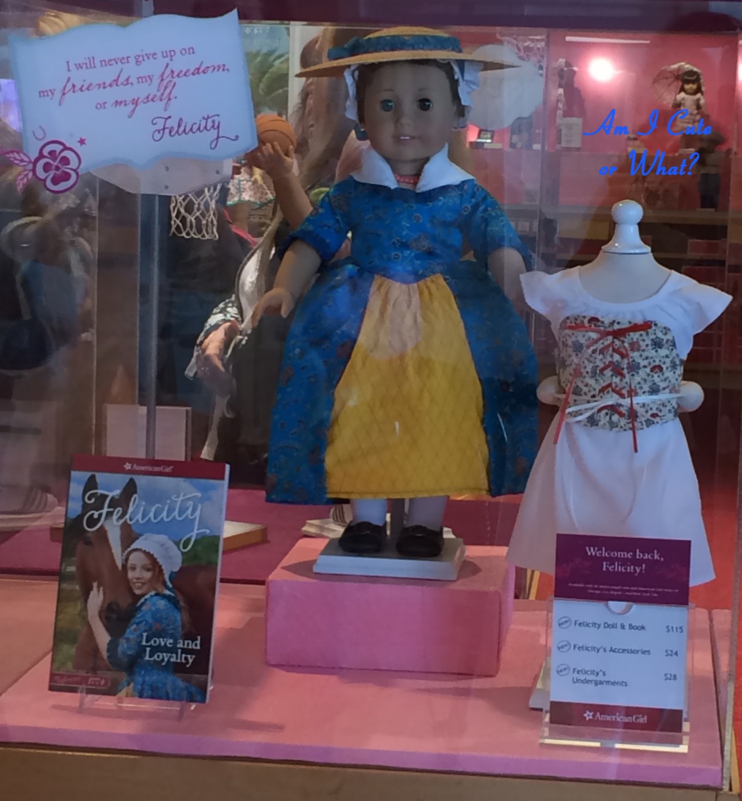 A Focus on the Cute Felicity Merriman American Girl Doll Released