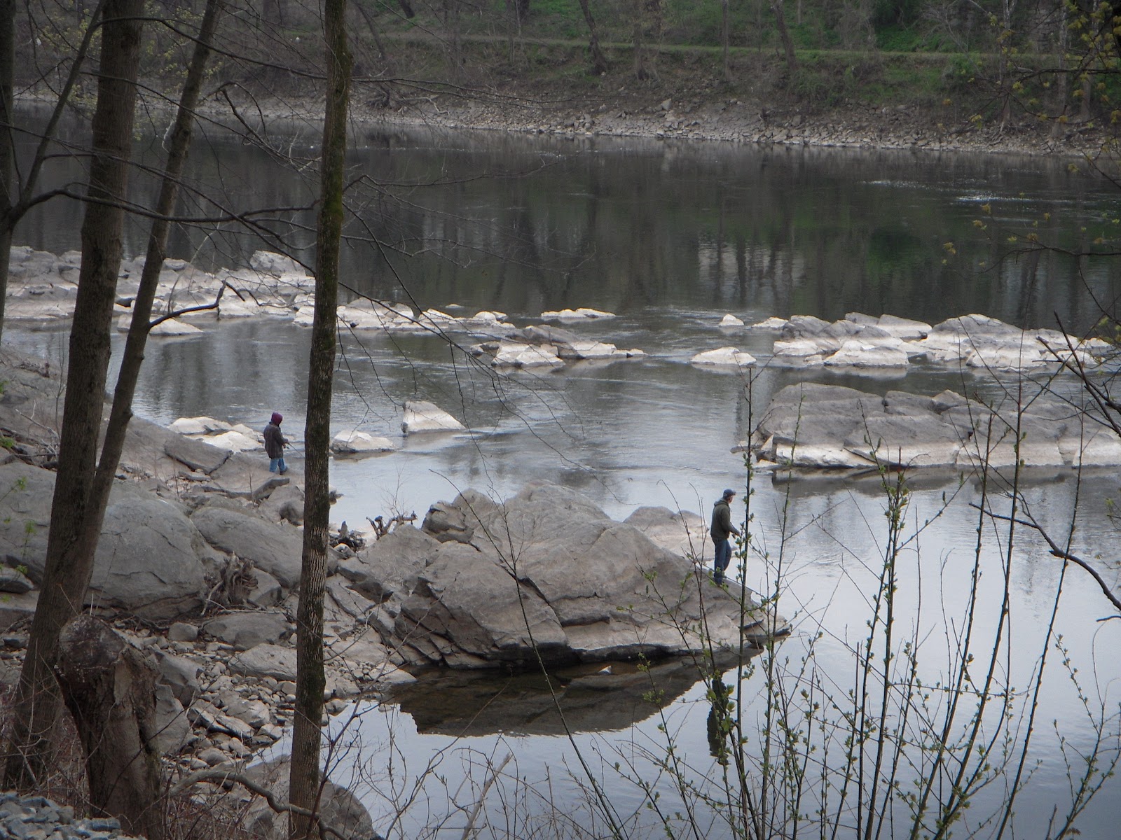 Hill Slug Chronicles Frenchtown Coffeetown Easton