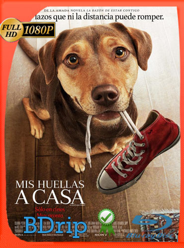 Mis Huellas a Casa (2018) BDRIP 1080p Latino Dual [GoogleDrive] TeslavoHD