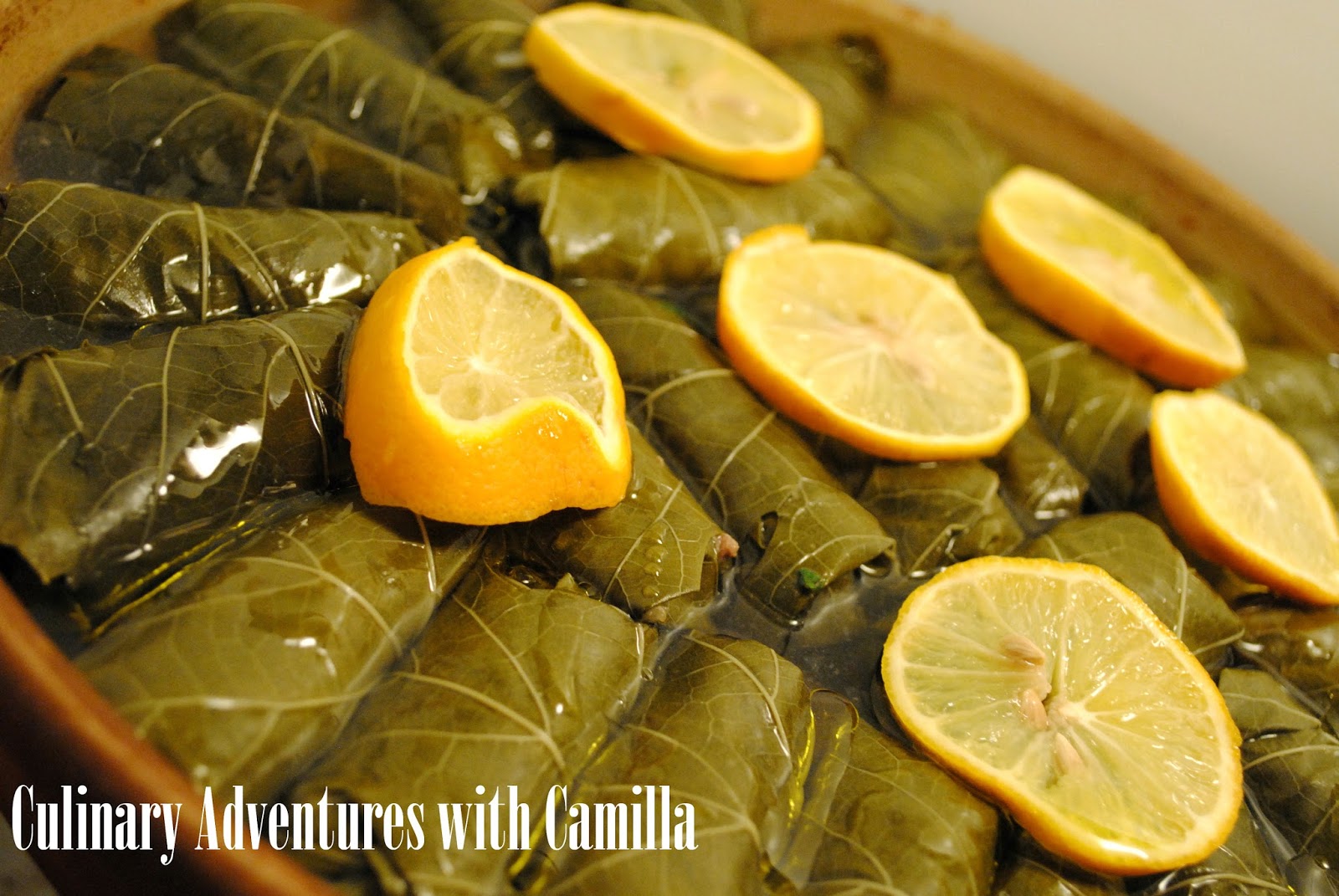 Quinoa and BeefStuffed Grape Leaves